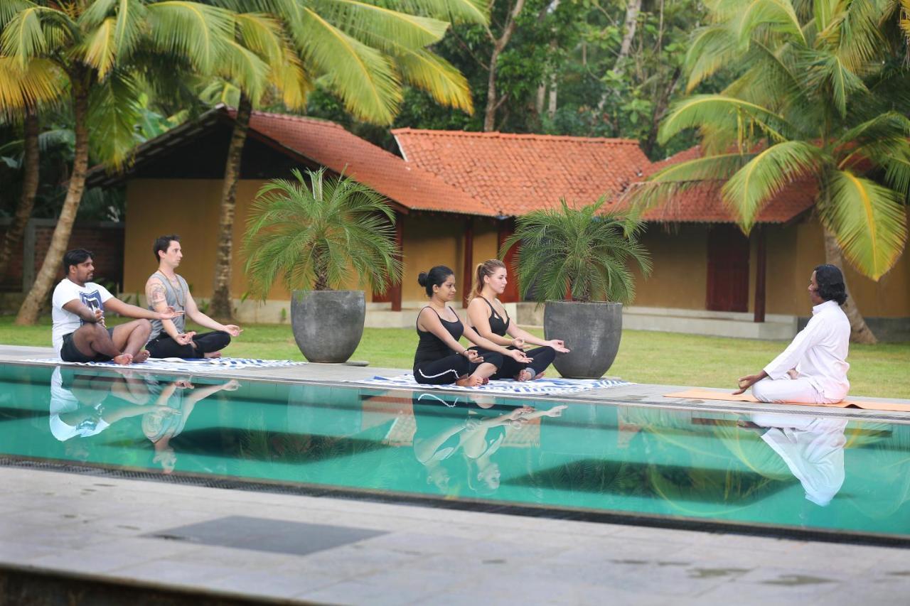 Villa Velmarie Yoga And Ayurveda House All Inclusive 贝鲁沃勒 外观 照片
