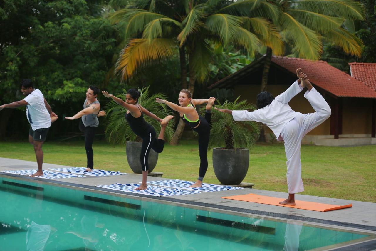 Villa Velmarie Yoga And Ayurveda House All Inclusive 贝鲁沃勒 外观 照片